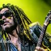 Fans le arranca el cabello a Lenny Kravitz en pleno concierto