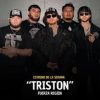 Retiran de plataformas digitales la cancion TRISTON de Fuerza Regida