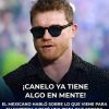 Canelo Alvarez dice estar listo para dejar el ring
